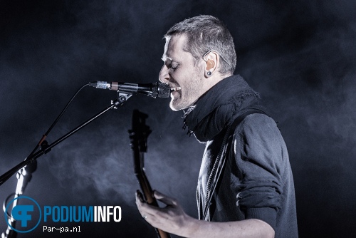 Ozark Henry op Ozark Henry - 16/01 - Paard van Troje foto