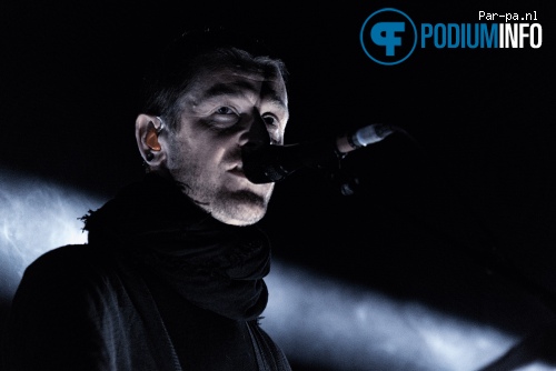 Ozark Henry op Ozark Henry - 16/01 - Paard van Troje foto