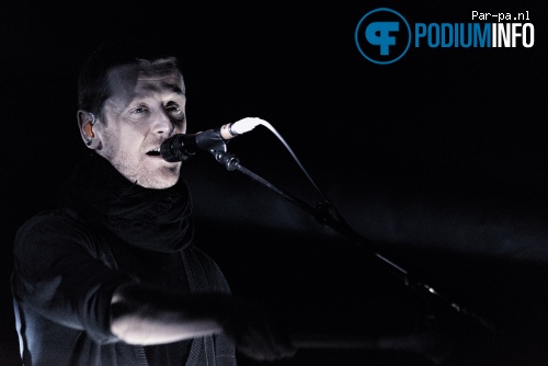 Ozark Henry op Ozark Henry - 16/01 - Paard van Troje foto