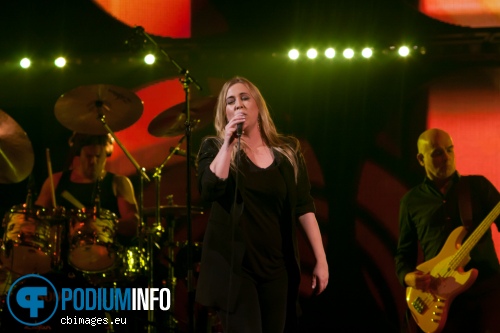 Anouk op Vrienden van Amstel Live! 2015 foto