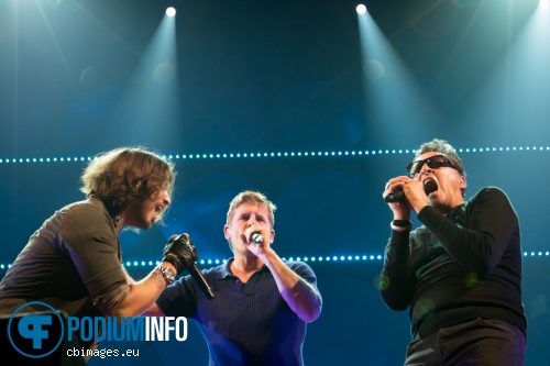 Racoon op Vrienden van Amstel Live! 2015 foto