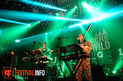 Foto Jungle op Where The Wild Things Are 2015 - zondag