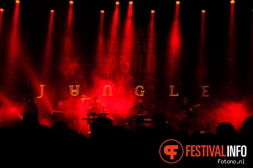 Foto Jungle op Where The Wild Things Are 2015 - zondag