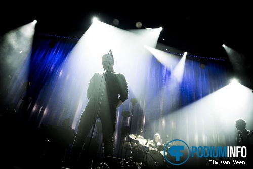 Foto Racoon op Racoon - 25/3 - TivoliVredenburg