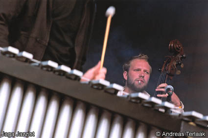 Bevrijdingspop Haarlem 2003 foto