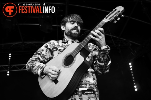 Skip & Die op Bevrijdingsfestival Overijssel 2015 foto