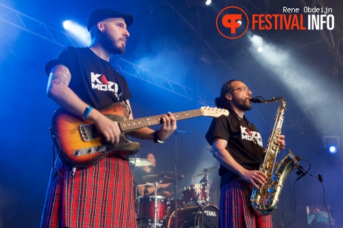 Koza Mostra op Bevrijdingsfestival Overijssel 2015 foto