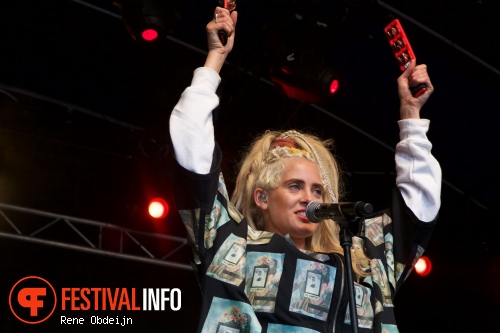 Skip & Die op Bevrijdingsfestival Overijssel 2015 foto