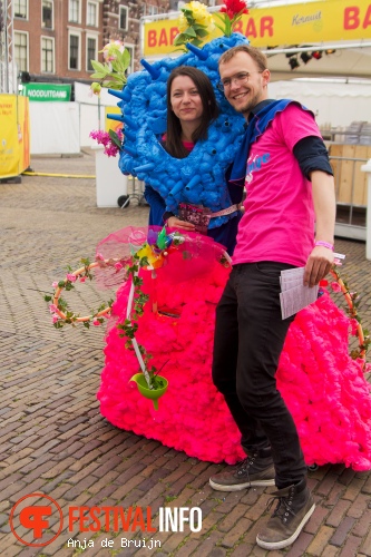 Delft Citypop 2015 foto