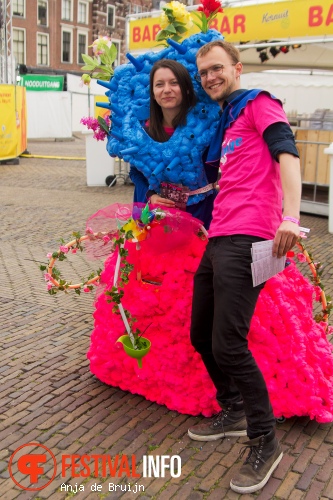 Delft Citypop 2015 foto