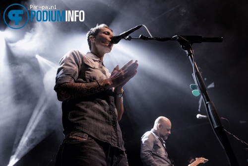 K's Choice op K's Choice - 24/05 - TivoliVredenburg foto