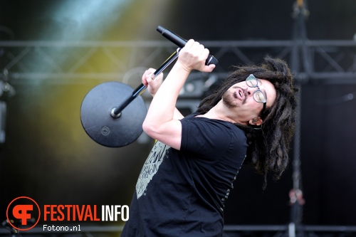 Counting Crows op Pinkpop 2015 - Zondag foto