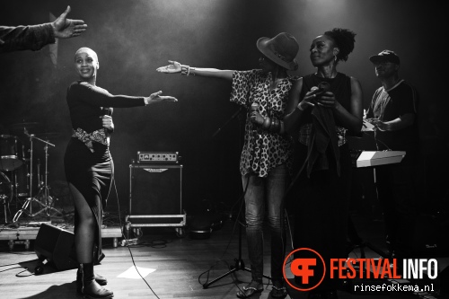 Rootsriders op TivoliVredenburg Festival - Wij zijn 1 foto