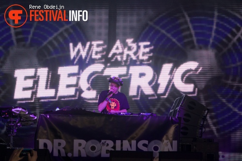 Dr. Robinson op We Are Electric 2015 foto