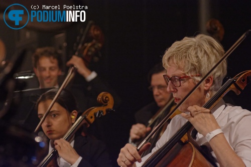 Het Gelders Orkest op The Gelders Orkest / Wende Snijders - 24/06 - Paradiso foto