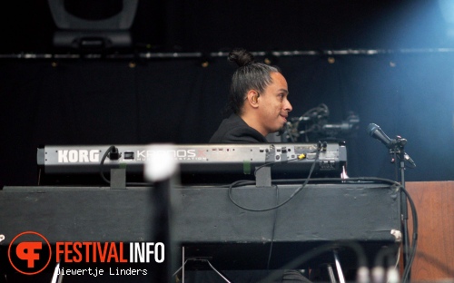 Foto Racoon op Concert At Sea 2015