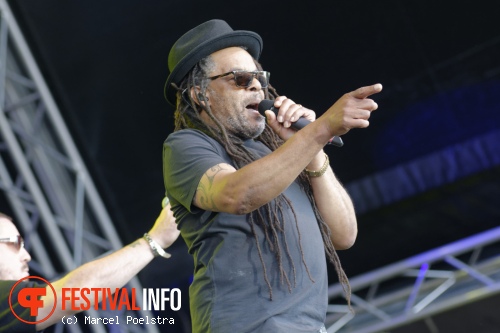 UB40 op Night At The Park 2015 foto