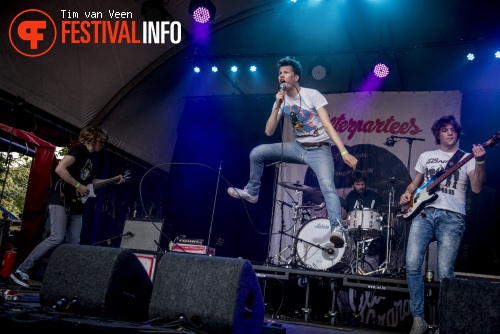 Afterpartees op Festival de Beschaving 2015 foto