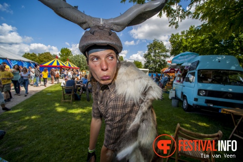 Festival de Beschaving 2015 foto