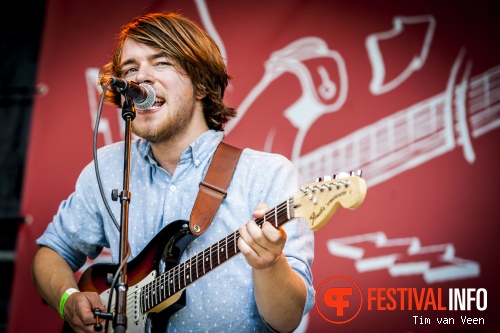 Festival de Beschaving 2015 foto