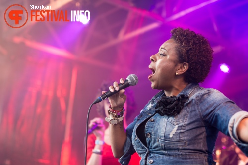 Helden van Westfriesland 2015 foto