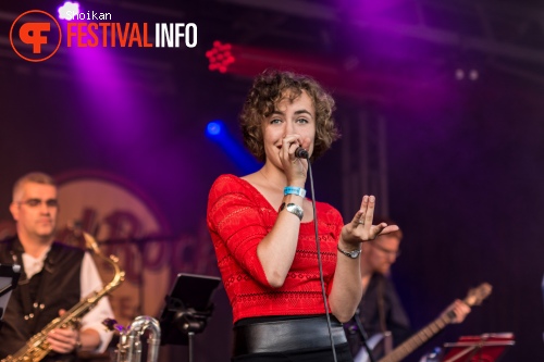 Helden van Westfriesland 2015 foto