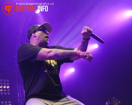 Cypress Hill op Woo Hah! 2015 foto