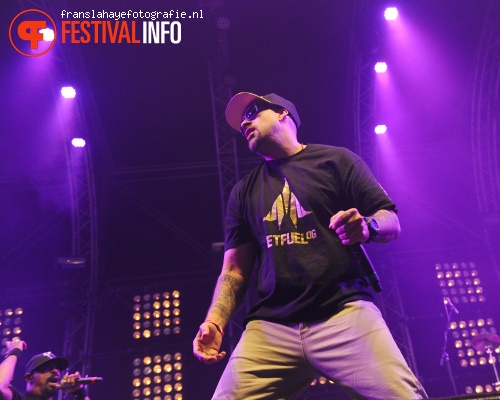 Cypress Hill op Woo Hah! 2015 foto