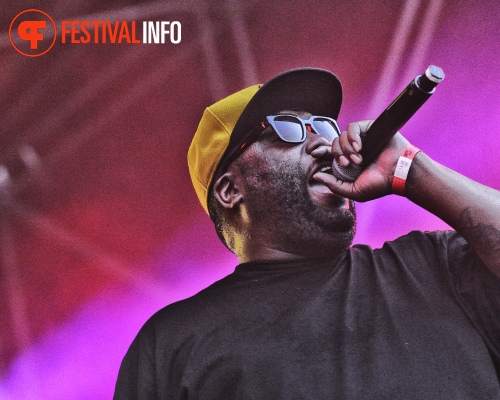 Run The Jewels op Woo Hah! 2015 foto