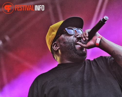 Run The Jewels op Woo Hah! 2015 foto