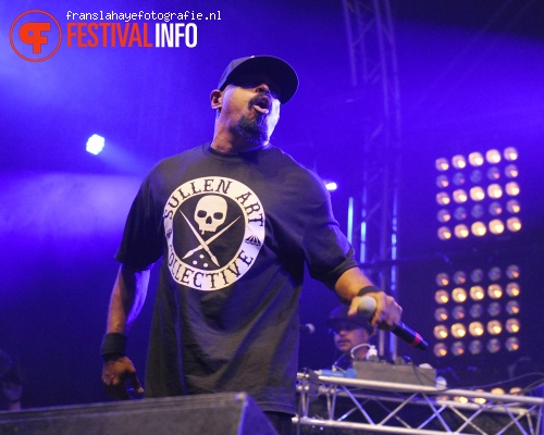 Cypress Hill op Woo Hah! 2015 foto