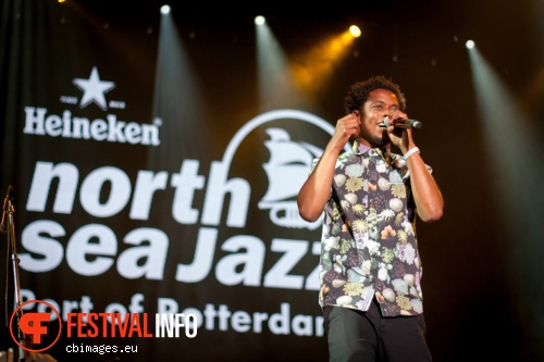 Typhoon op North Sea Jazz 2015 - Vrijdag foto