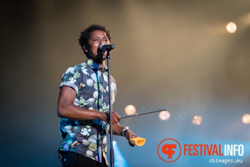 Typhoon op North Sea Jazz 2015 - Vrijdag foto