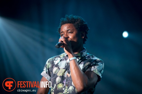 Typhoon op North Sea Jazz 2015 - Vrijdag foto