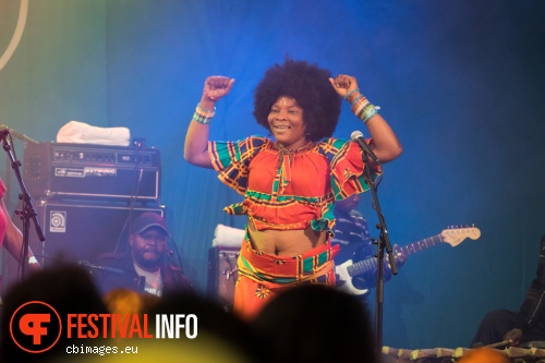 Kasai Allstars op North Sea Jazz 2015 - Vrijdag foto