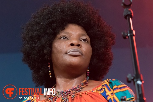 Kasai Allstars op North Sea Jazz 2015 - Vrijdag foto
