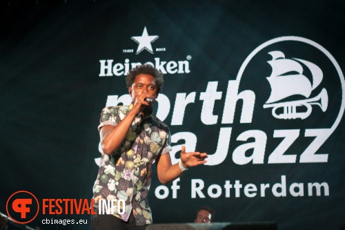 Typhoon op North Sea Jazz 2015 - Vrijdag foto