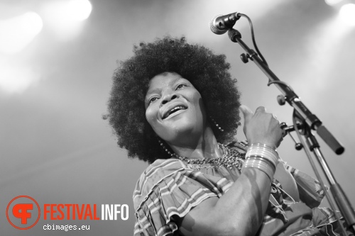 Kasai Allstars op North Sea Jazz 2015 - Vrijdag foto