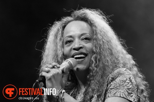 Cassandra Wilson op North Sea Jazz 2015 - Vrijdag foto