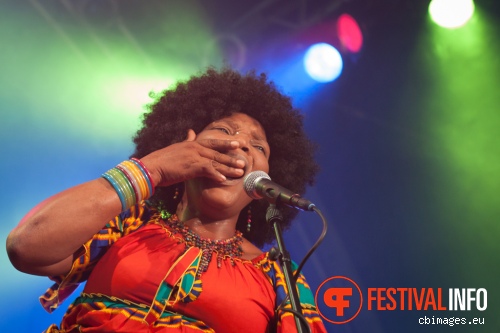 Kasai Allstars op North Sea Jazz 2015 - Vrijdag foto