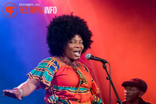 Kasai Allstars op North Sea Jazz 2015 - Vrijdag foto
