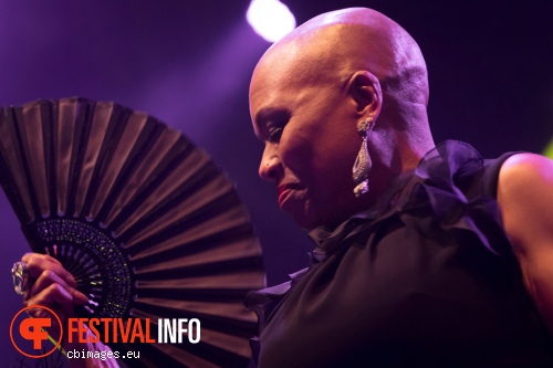 Dee Dee Bridgewater op North Sea Jazz 2015 - Zaterdag foto