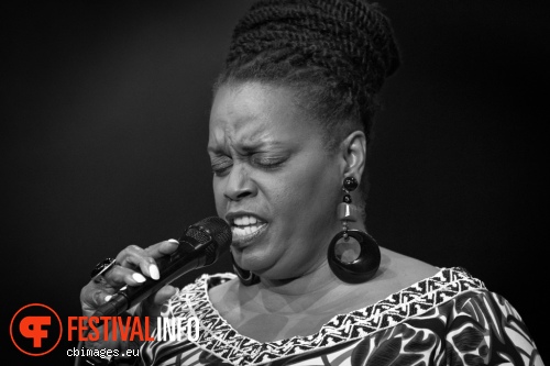 Dianne Reeves op North Sea Jazz 2015 - Zondag foto