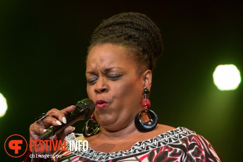 Foto Dianne Reeves op North Sea Jazz 2015 - Zondag