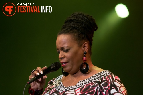 Foto Dianne Reeves op North Sea Jazz 2015 - Zondag