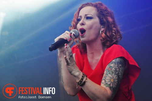 The Gentle Storm op ParkCity Live 2015-zaterdag foto