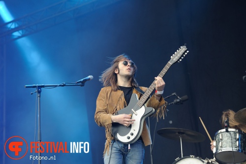 Pauw op Bospop 2015 - Zondag foto