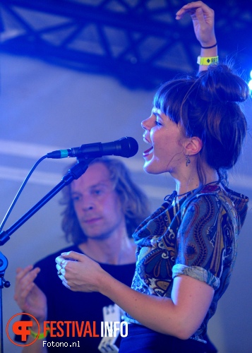 Yakumo Orchestra op Welcome To The Village 2015 - vrijdag foto