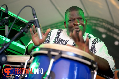 Yakumo Orchestra op Welcome To The Village 2015 - vrijdag foto