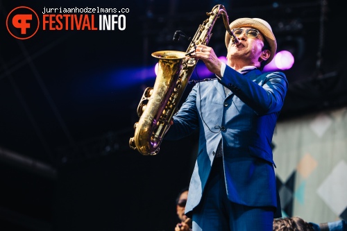 Dour Festival 2015 - Donderdag foto
